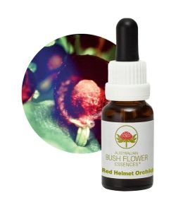 Red Helmet Orchid, 15 ml